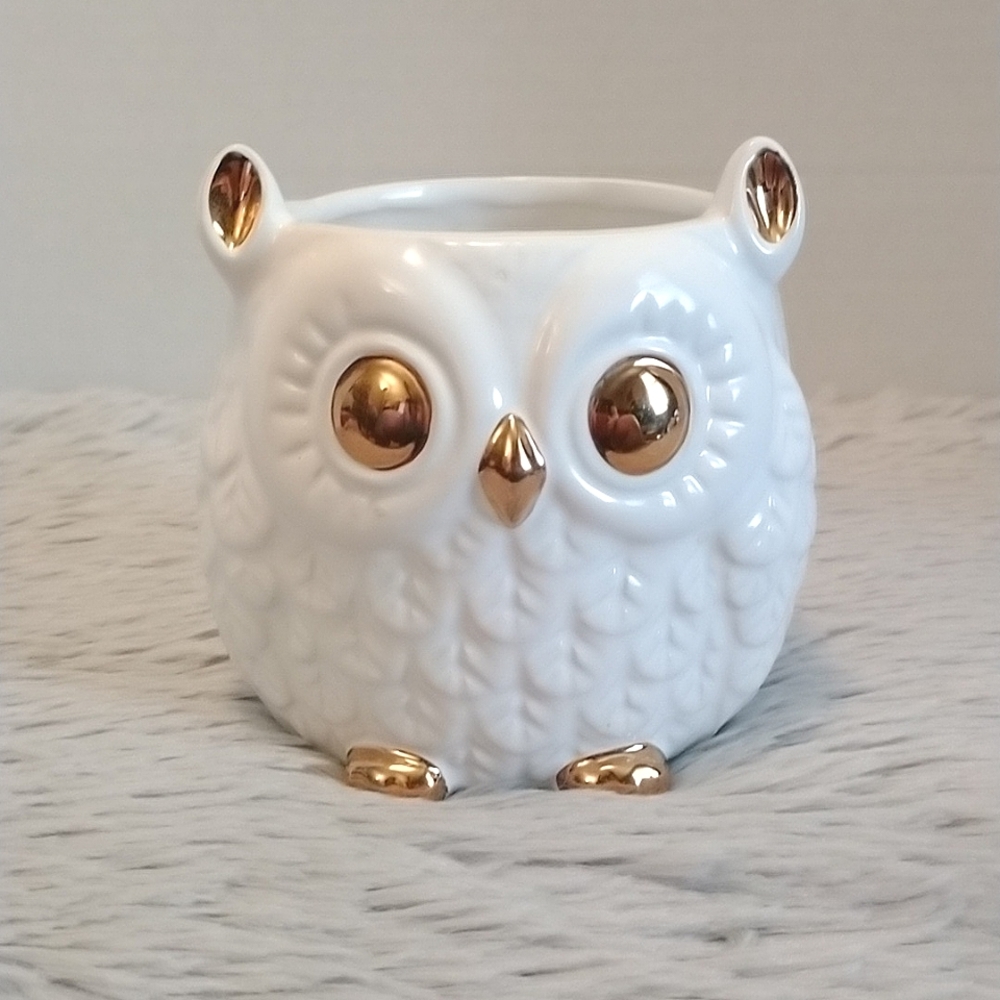 Decorative White Owl Jar
